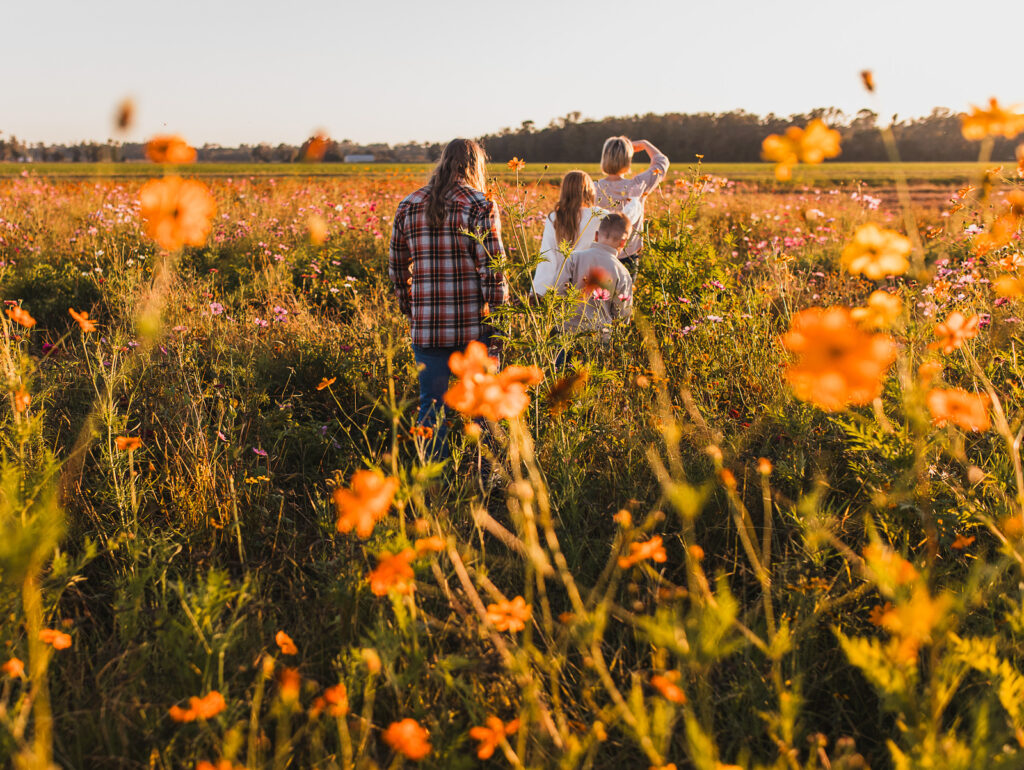 Family walking away in a field of flowers at Parker Flower Farms in Elkton, FL